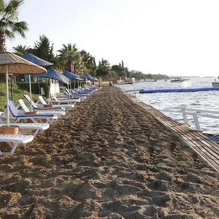 Medis Cesme